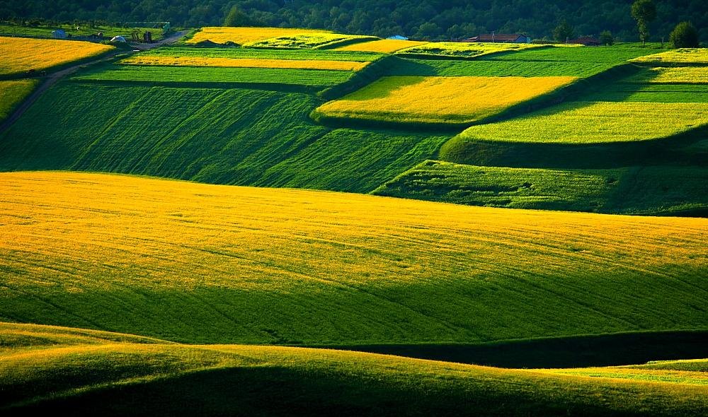 彩色日村的剧情介绍