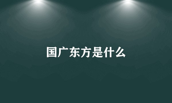 国广东方是什么