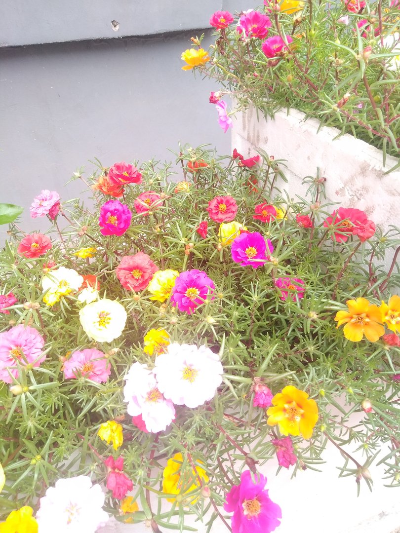 微信发你好爸爸啥意思？