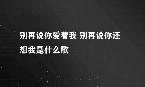 别再说你爱着我 别再说你还想我是什么歌