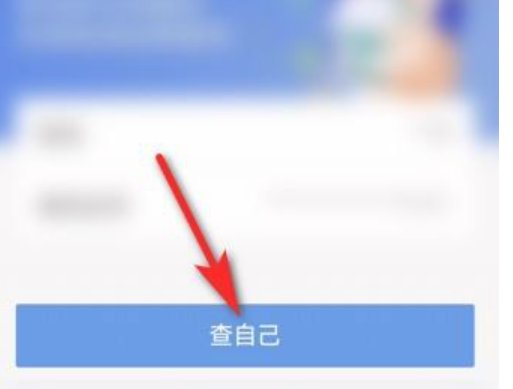 怎么在手机上查看核酸检测的报告？