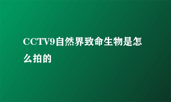 CCTV9自然界致命生物是怎么拍的