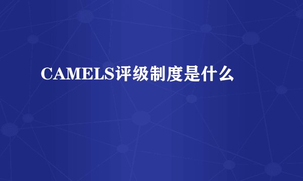 CAMELS评级制度是什么