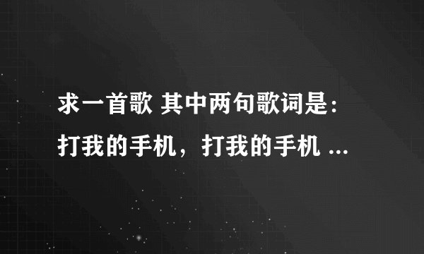 求一首歌 其中两句歌词是：打我的手机，打我的手机 是什么歌？