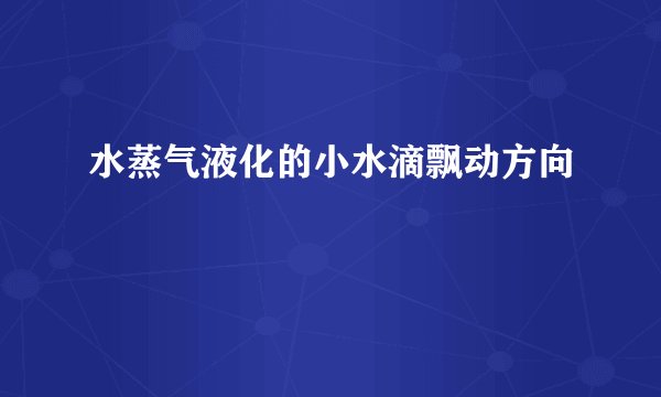 水蒸气液化的小水滴飘动方向