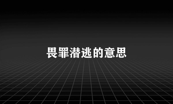 畏罪潜逃的意思