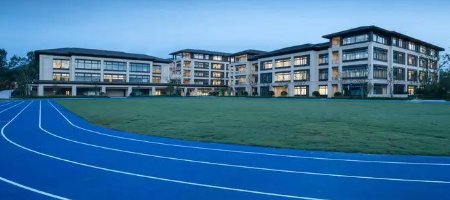 中国野鸡大学名单