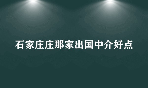 石家庄庄那家出国中介好点