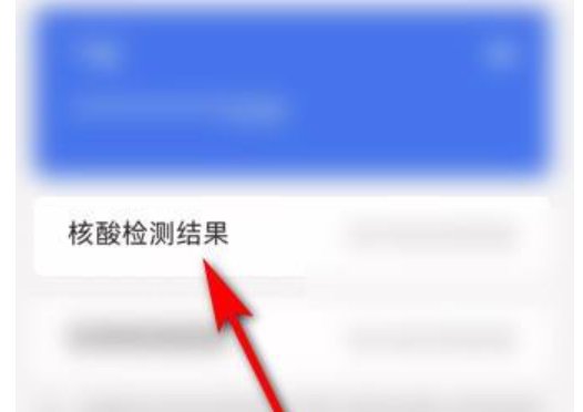 怎么在手机上查看核酸检测的报告？