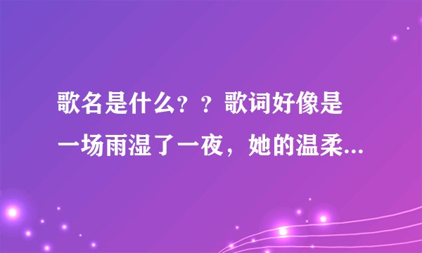 歌名是什么？？歌词好像是 一场雨湿了一夜，她的温柔该怎么给