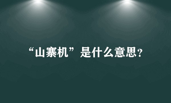 “山寨机”是什么意思？