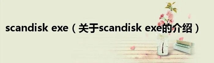 scandisk exe（关于scandisk exe的介绍）