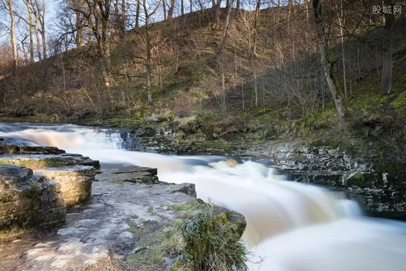景区上演现实版鱼跃龙门 引起大批游客前往观赏