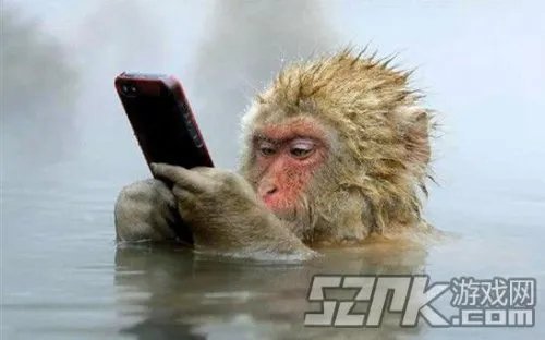 日本猴子边泡温泉边玩手机 网友笑称活得不如猴