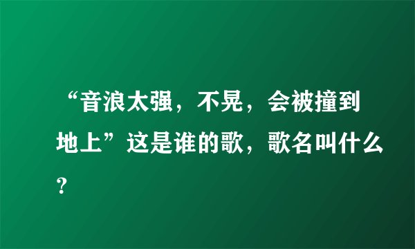 “音浪太强，不晃，会被撞到地上”这是谁的歌，歌名叫什么？