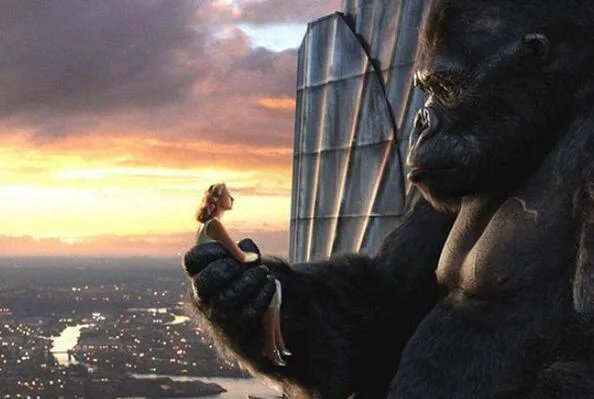 世界十大最高的哺乳动物排名 河马仅第十,长颈鹿