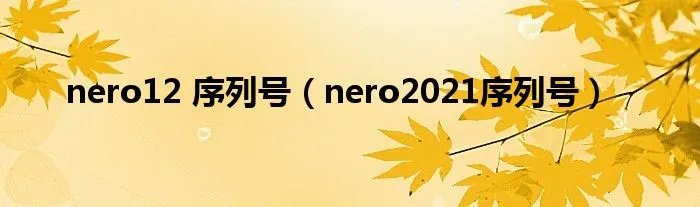 nero12 序列号（nero2021序列号）