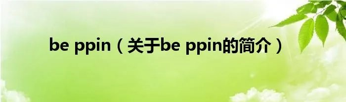be ppin（关于be ppin的简介）