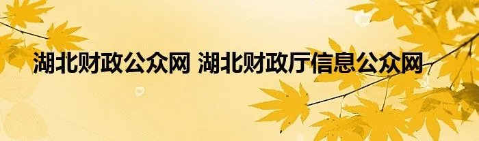 湖北财政公众网 湖北财政厅信息公众网