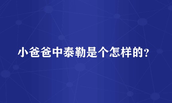 小爸爸中泰勒是个怎样的？