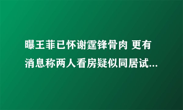 曝王菲已怀谢霆锋骨肉 更有消息称两人看房疑似同居试婚_飞外网