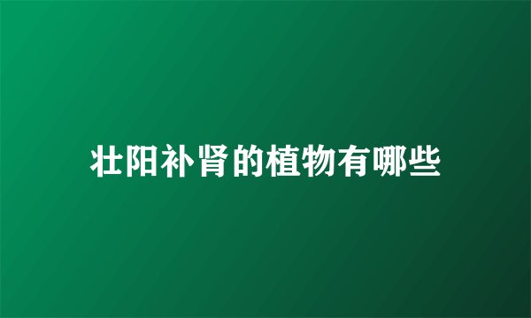 壮阳补肾的植物有哪些