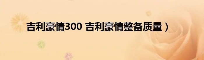 吉利豪情300 吉利豪情整备质量）