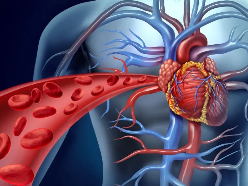 三高心脑血管治疗仪的治疗依据