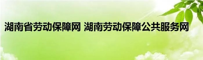 湖南省劳动保障网 湖南劳动保障公共服务网