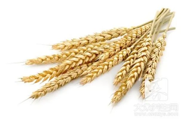 6种谷物饮料助您健康每一天！