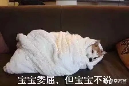 2月初2有什么习俗？