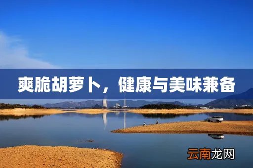 爽脆胡萝卜，健康与美味兼备