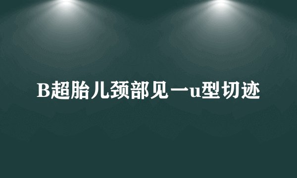 B超胎儿颈部见一u型切迹