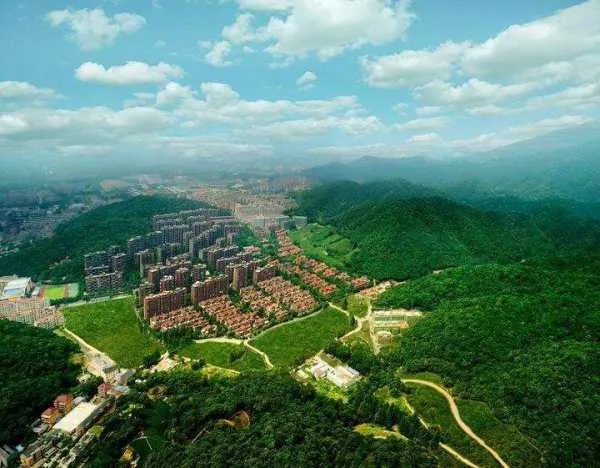 为支持自主需求？杭州新房摇号新规向无房家庭倾斜？