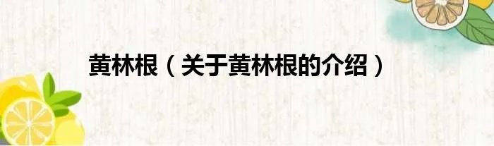 黄林根（关于黄林根的介绍）