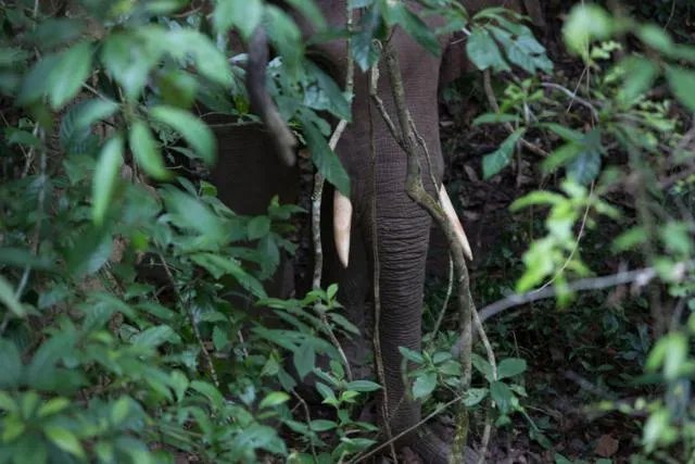 《爸爸去哪儿》都去过云南的哪些地方?