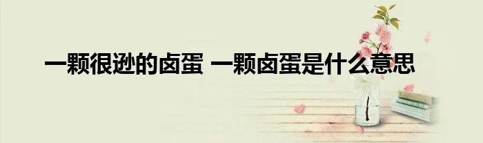 一颗很逊的卤蛋 一颗卤蛋是什么意思