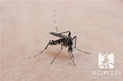 ​鼬蜓对人的危害   