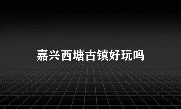 嘉兴西塘古镇好玩吗