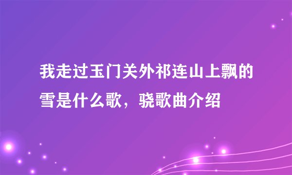 我走过玉门关外祁连山上飘的雪是什么歌，骁歌曲介绍
