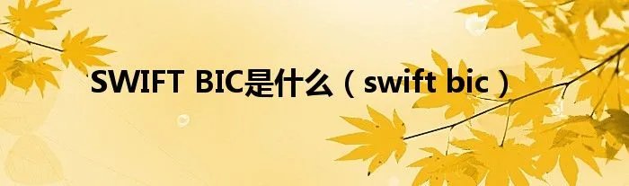 SWIFT BIC是什么（swift bic）