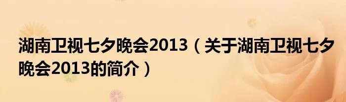 湖南卫视七夕晚会2013（关于湖南卫视七夕晚会2013的简介）
