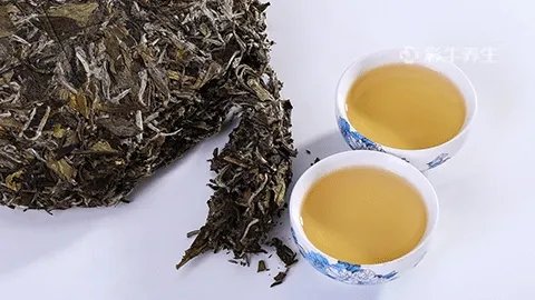 碧生源常润茶的功效与作用
