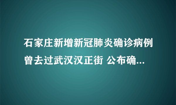 石家庄新增新冠肺炎确诊病例曾去过武汉汉正街 公布确诊病例活动轨迹