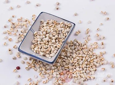 谷雨的养生方法 6种养生方式让身体更健康