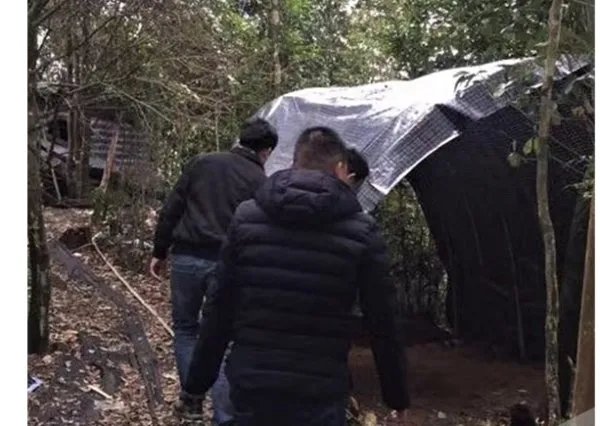 重庆特大诈骗案被破了吗？