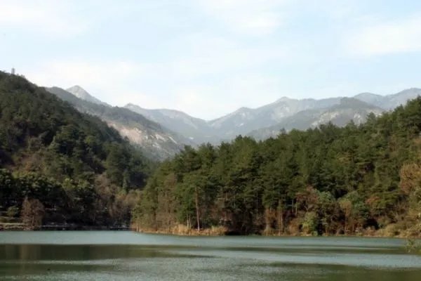新物种鱼“壶瓶山鮡”系又一神兽 壶瓶山鮡究竟是什么生物