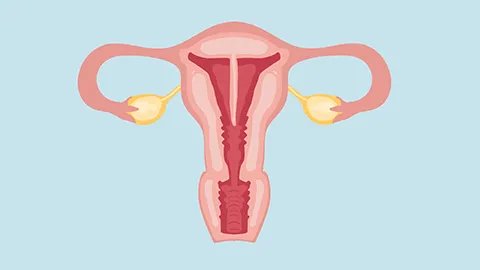 红血丝能治好吗