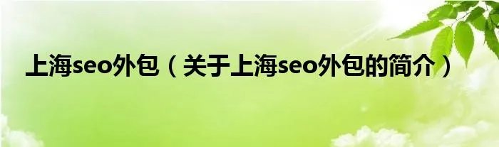 上海seo外包（关于上海seo外包的简介）