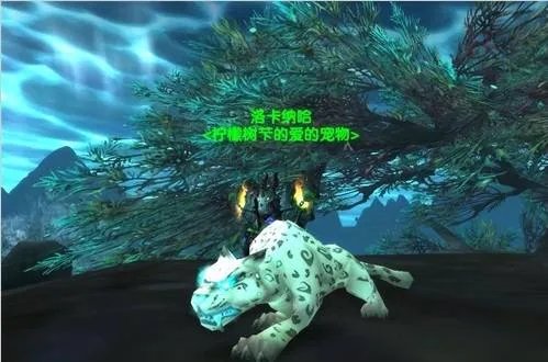 魔兽世界猎人稀有宠物有哪几只 tbc猎人稀有宠物一览